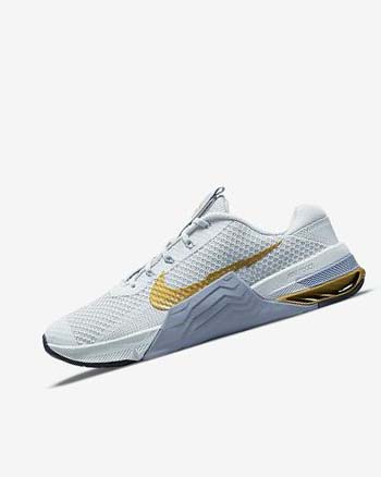 Nike Metcon 7 Plateadas Metal Dorados | MX 5349